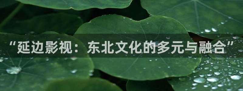 飞马影院：“延边影视：东北文化的多元与融合”