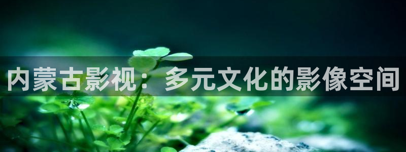 飞马影院下载安装：内蒙古影视：多元文化的影像空间