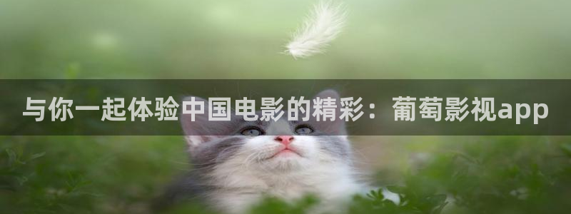 飞马良子影视有限公司：与你一起体验中国电影的精彩：葡萄影视app