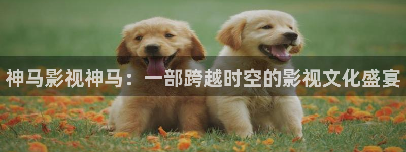 飞马影院app：神马影视神马：一部跨越时空的影视文化盛宴