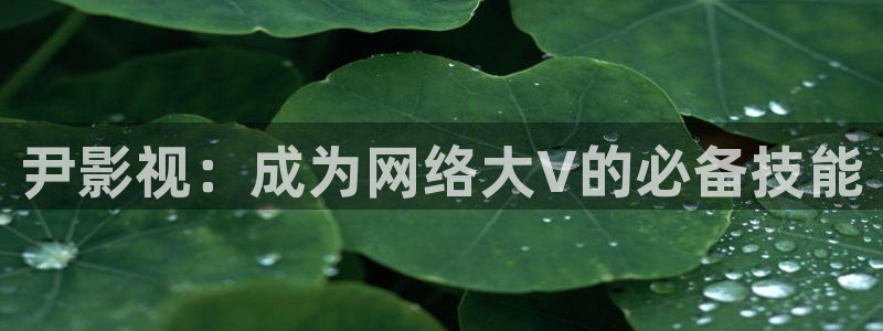 飞马影院在线观看：尹影视：成为网络大V的必备技能
