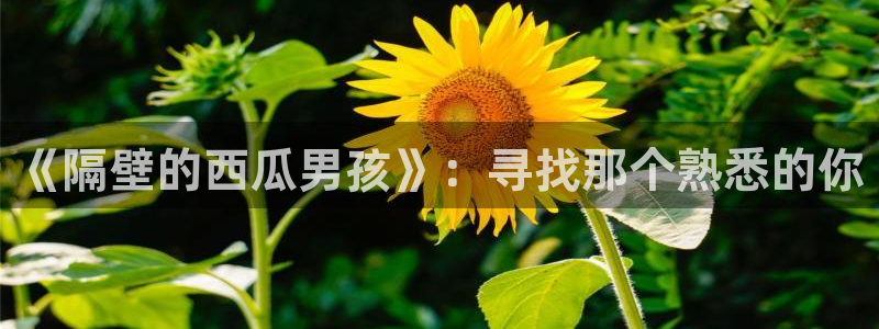 飞马影院下载安装：《隔壁的西瓜男孩》：寻找那个熟悉的你