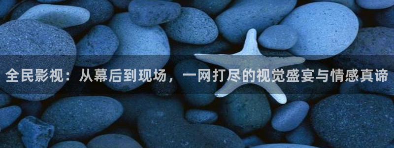 飞马影院在线观看：全民影视：从幕后到现场，一网打尽的视觉盛宴与情感真谛