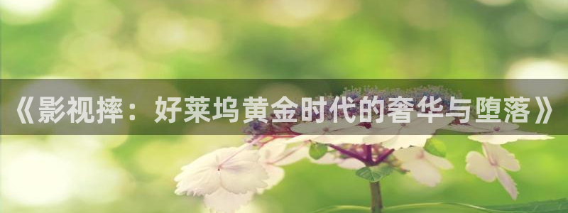 飞马影院：《影视摔：好莱坞黄金时代的奢华与堕落》